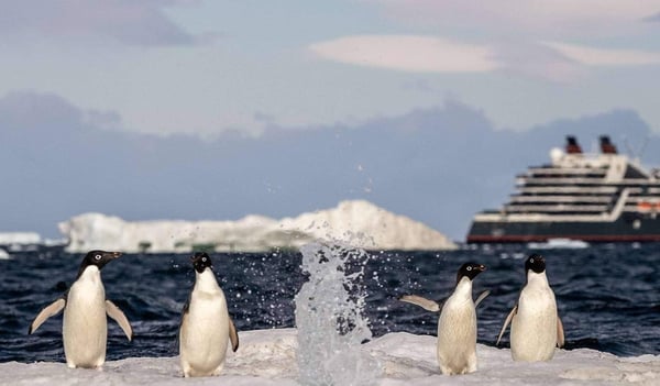 35-Day Chilean Fjords & Antarctica